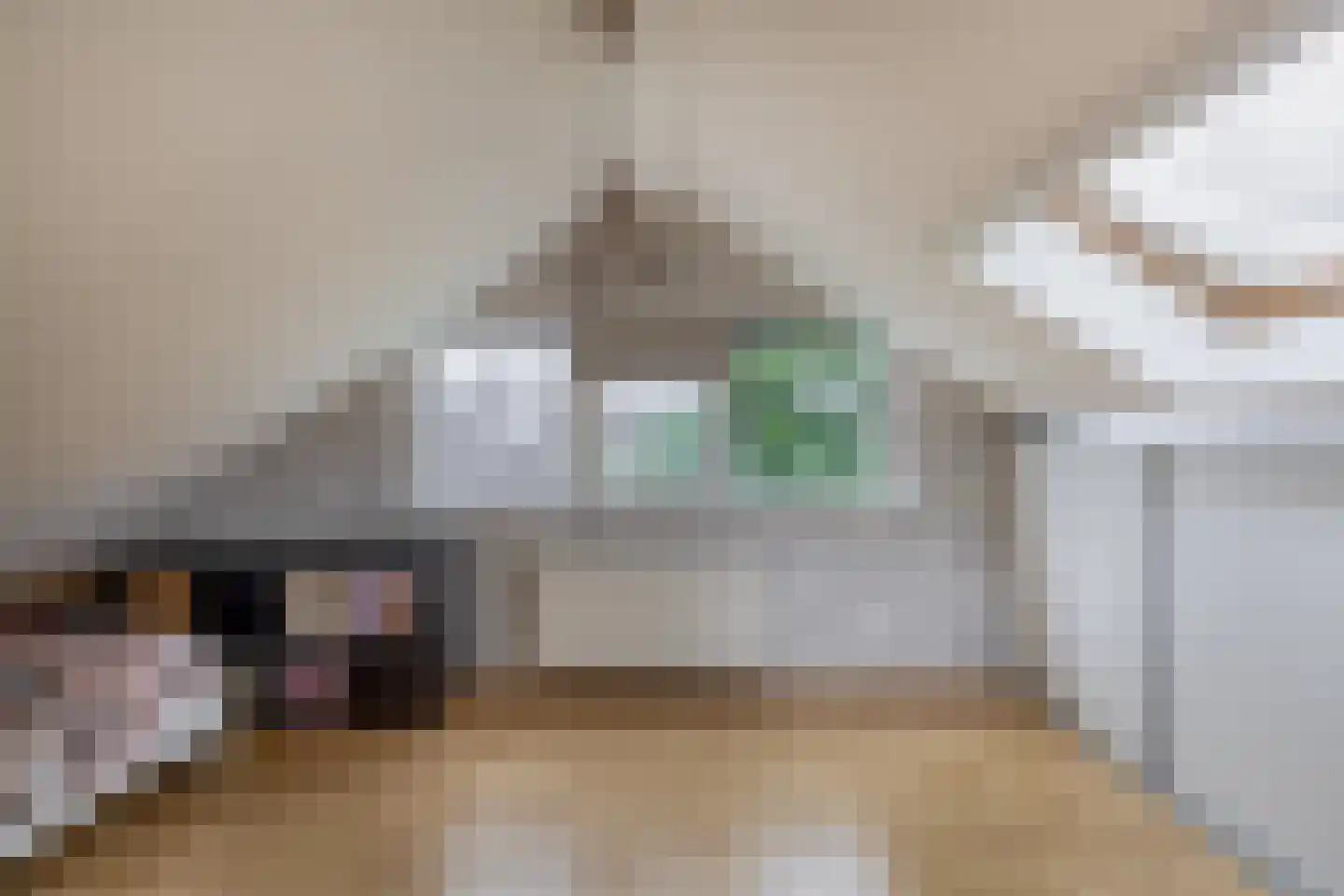 Mercatorlaan 25 Spijkenisse thumbnail 42