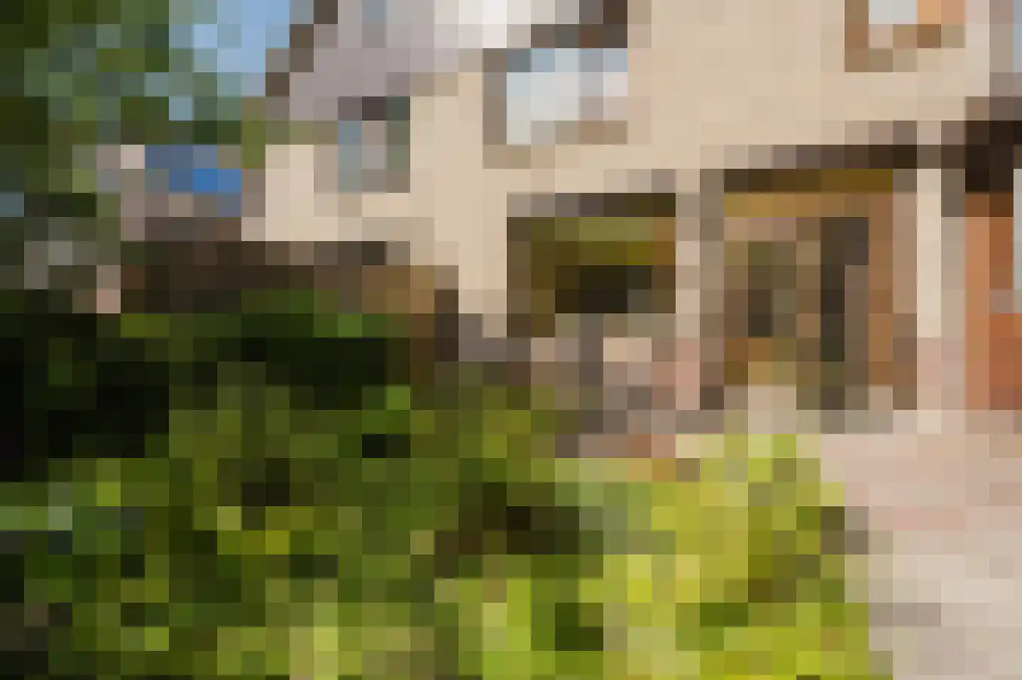 Mercatorlaan 8 Spijkenisse thumbnail 23