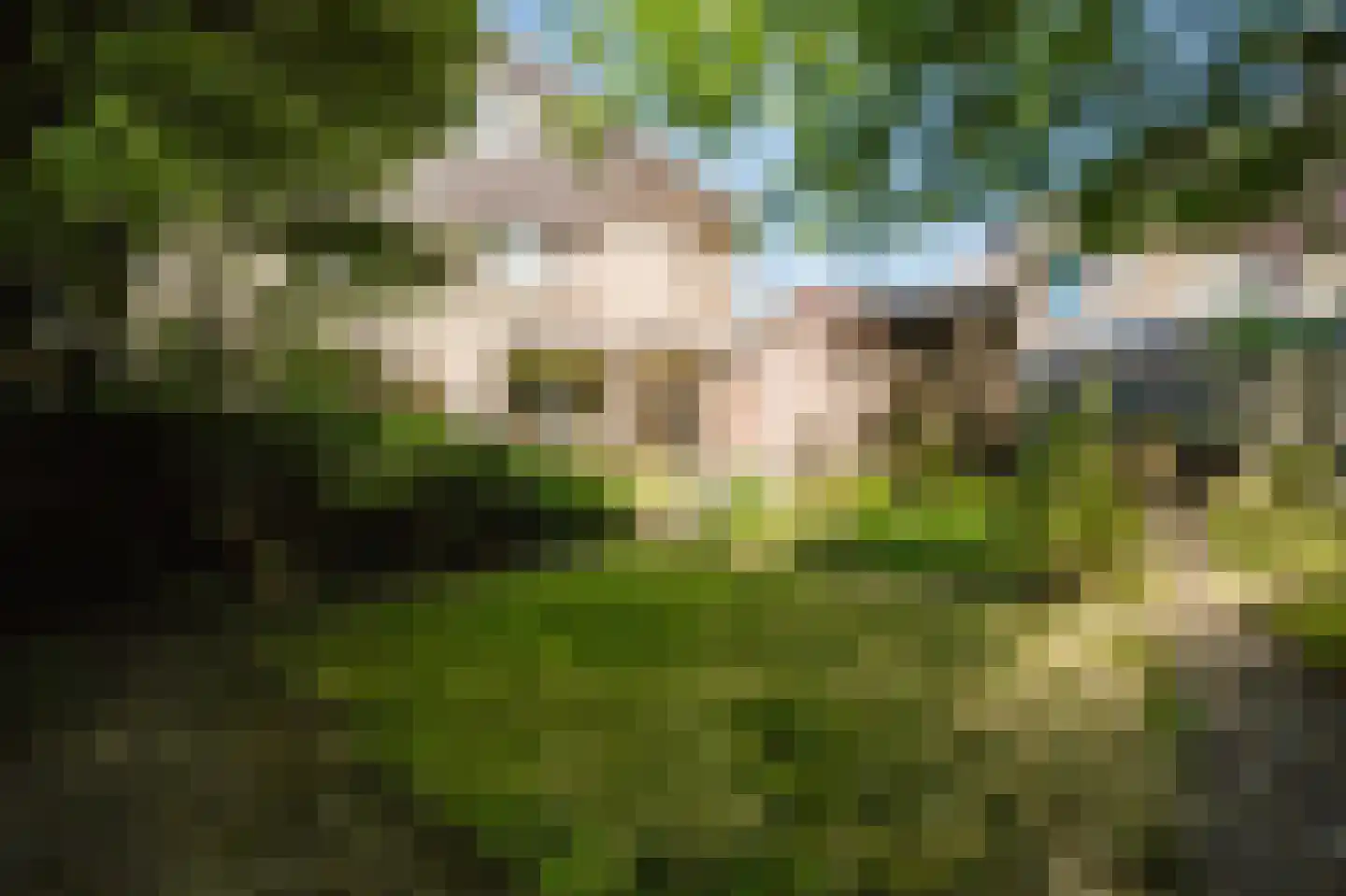Mercatorlaan 8 Spijkenisse thumbnail 5