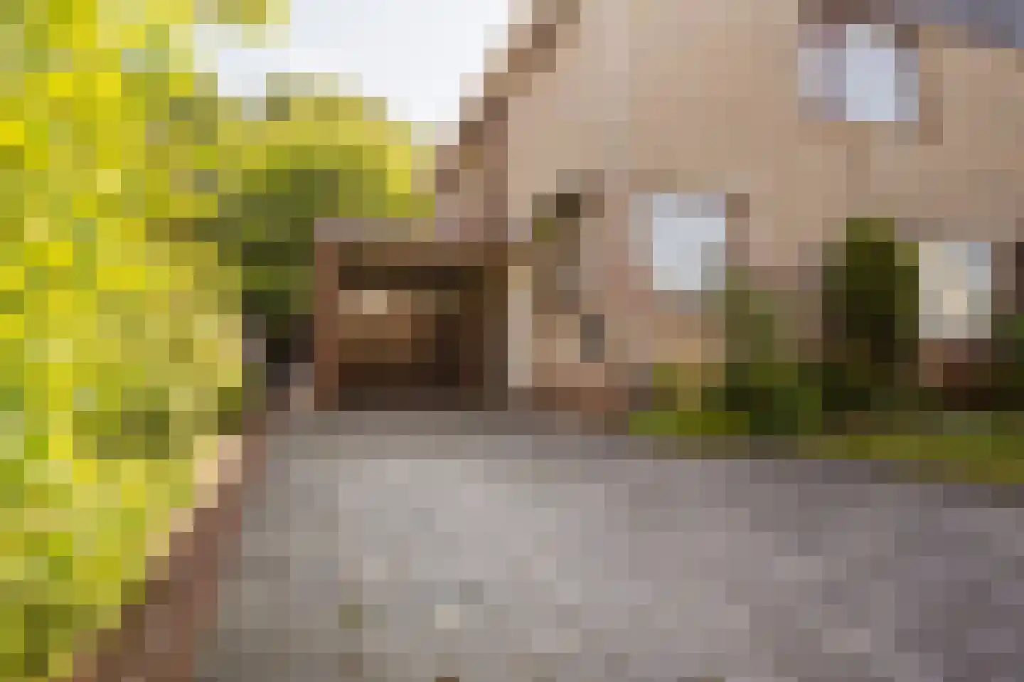 Mercatorlaan 8 Spijkenisse thumbnail 9