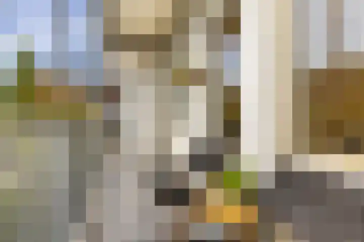 Mercatorstraat 111 3 Amsterdam thumbnail 20