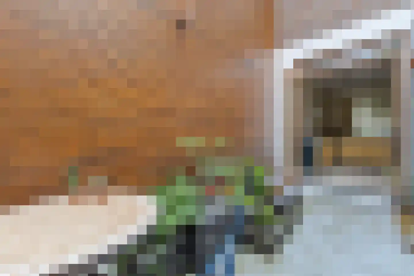 Mercatorstraat 5 Venlo thumbnail 24