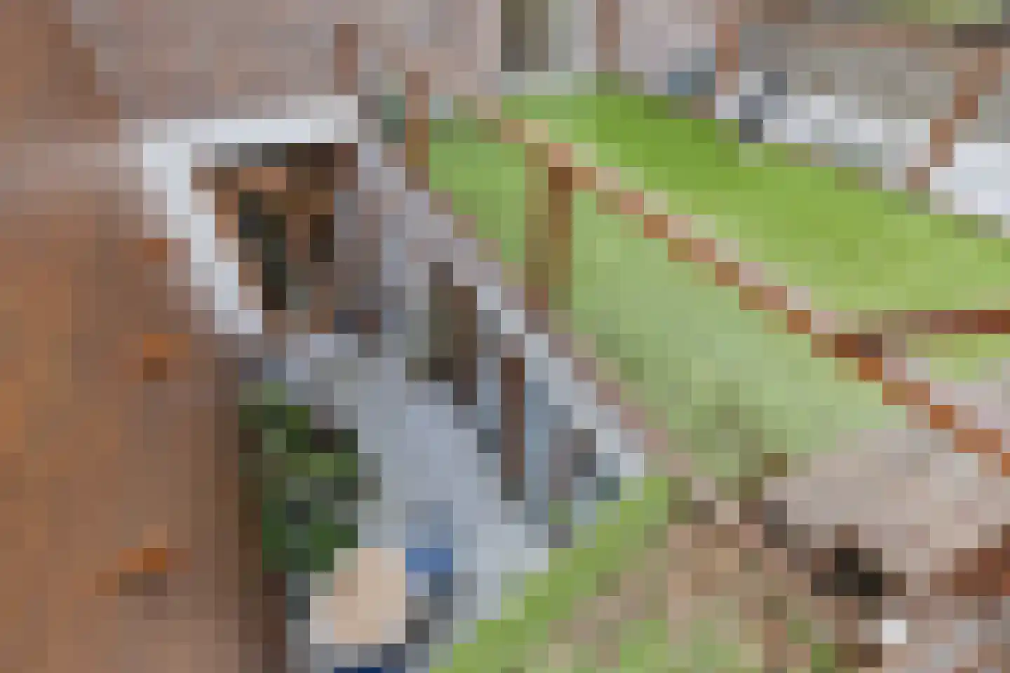 Mercatorstraat 5 Venlo thumbnail 43