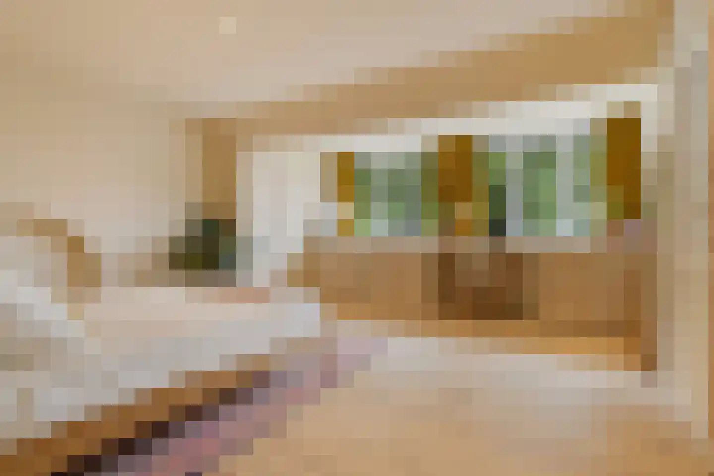 Mercatorstraat 5 Venlo thumbnail 47