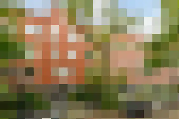 Mercatorstraat 63 3 Amsterdam thumbnail 24