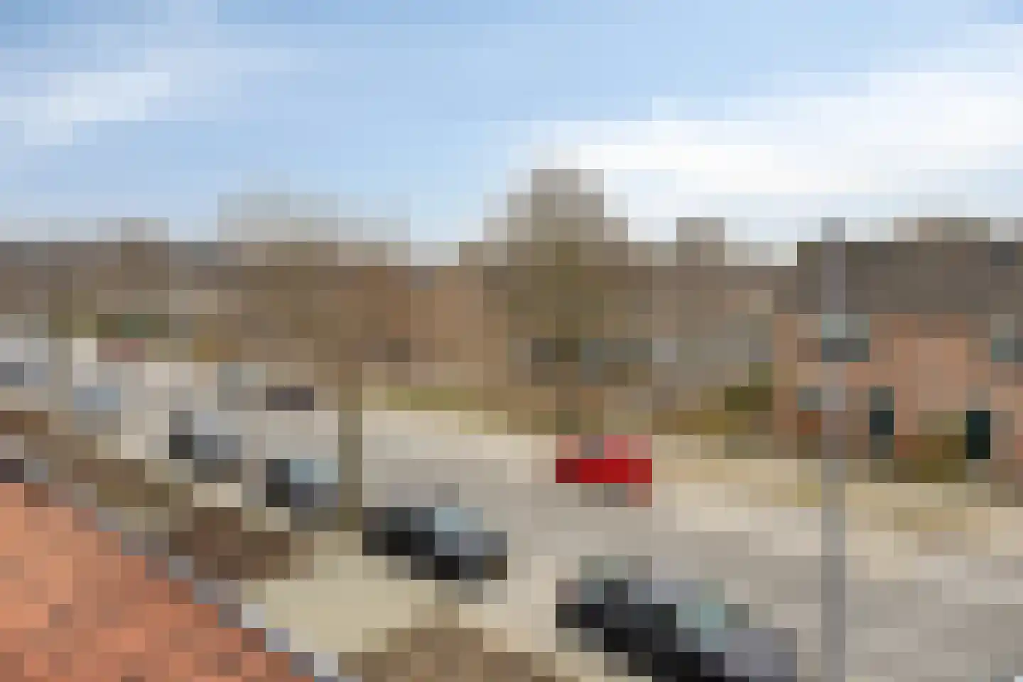 Mercatorweg 39 Hoek van Holland thumbnail 47