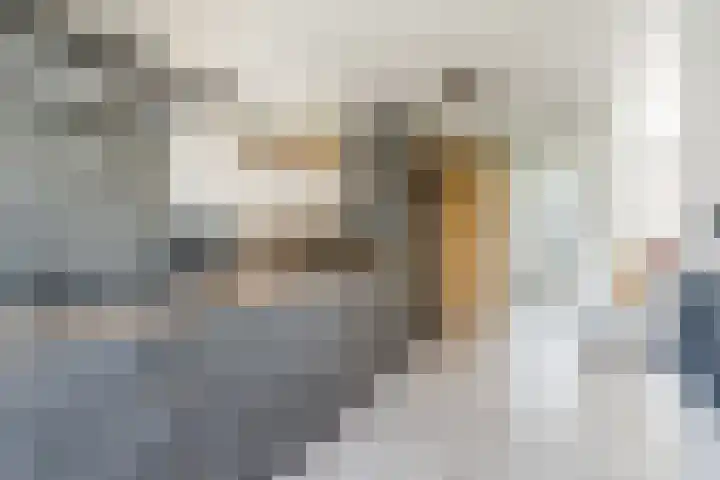 Merckelbachstraat 6 Eersel thumbnail 14