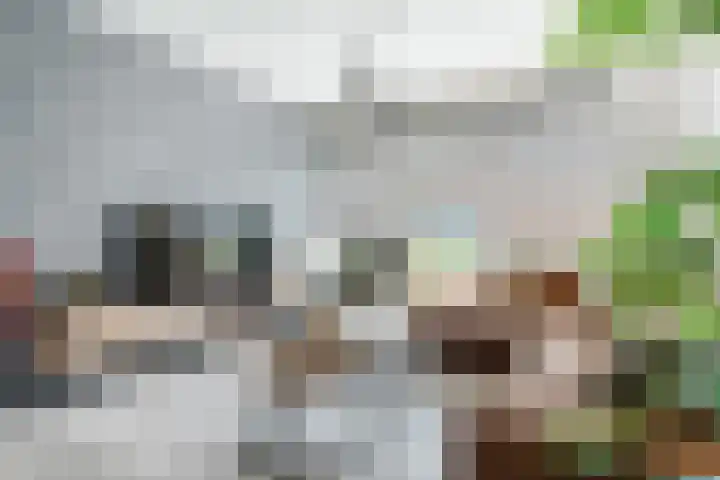 Merckelbachstraat 6 Eersel thumbnail 9