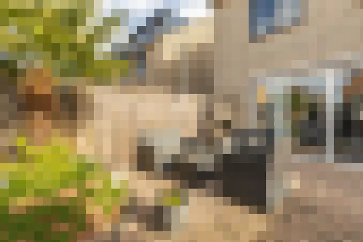 Merckenburg 15 Hoofddorp thumbnail 10