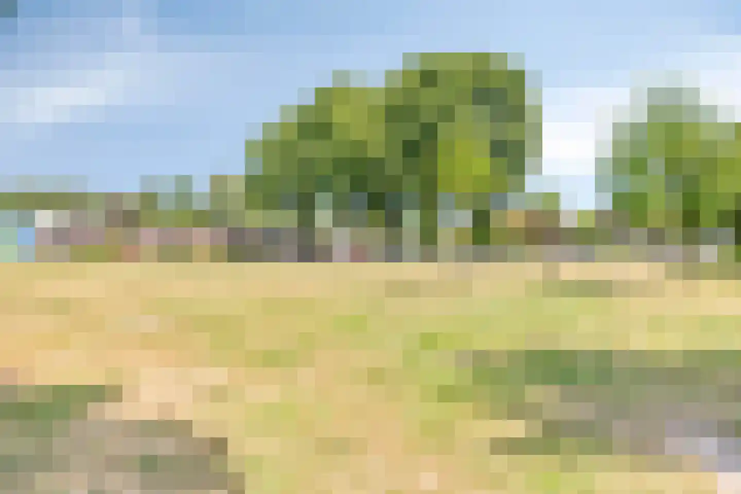 Mercurius 125 Oosterhout thumbnail 40
