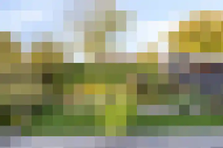 Mercurius 23 Aalten thumbnail 33