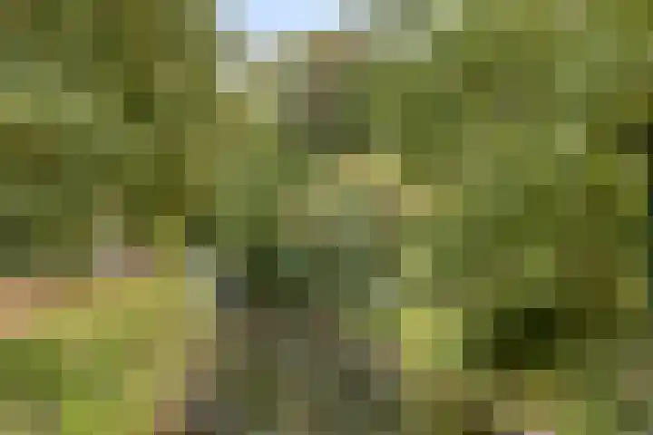 Mercurius 23 Aalten thumbnail 41