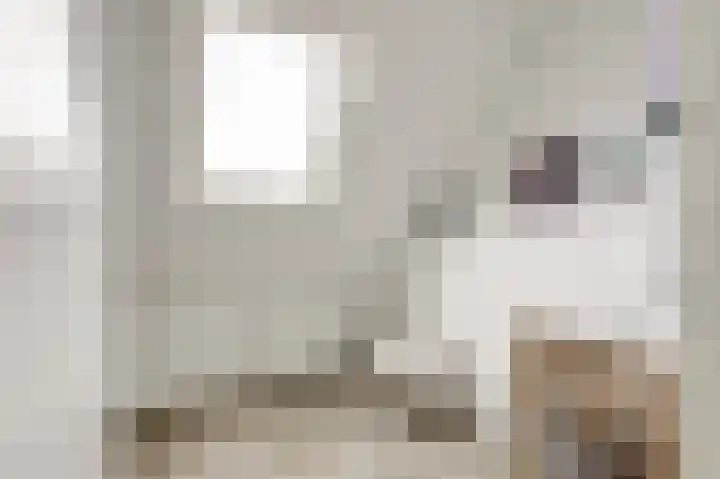 Mercurius 26 Twello thumbnail 22