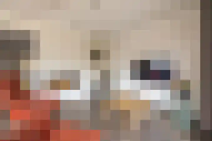 Mercurius 3 Schijndel thumbnail 18