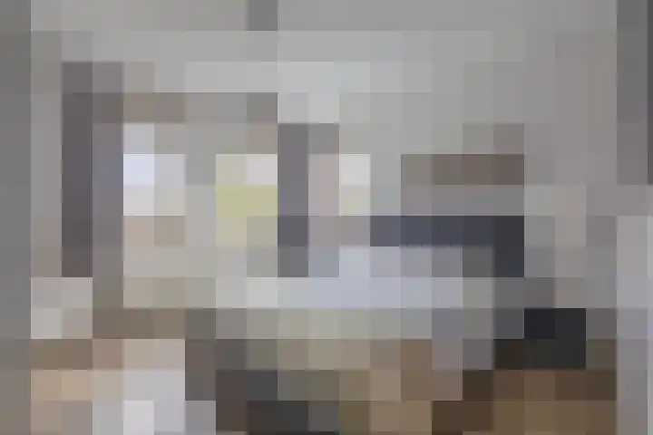 Mercurius 3 Schijndel thumbnail 25