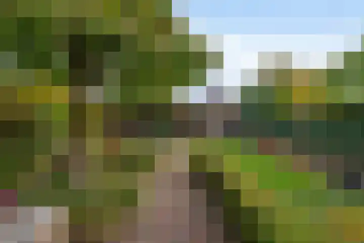 Mercurius 3 Schijndel thumbnail 33