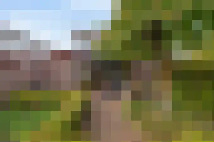 Mercurius 3 Schijndel thumbnail 35