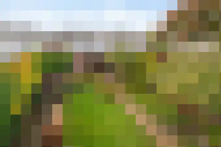 Mercurius 3 Schijndel thumbnail 37