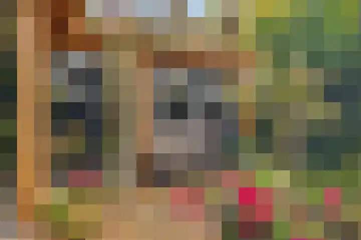 Mercurius 3 Schijndel thumbnail 38