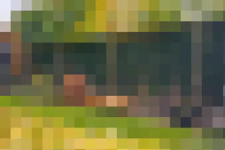 Mercurius 3 Schijndel thumbnail 39