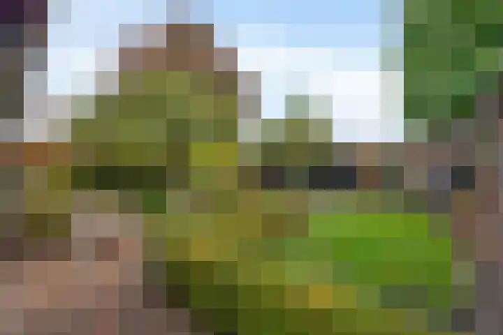 Mercurius 3 Schijndel thumbnail 4