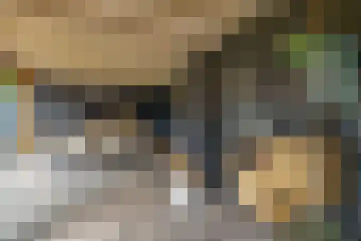 Mercurius 3 Schijndel thumbnail 40