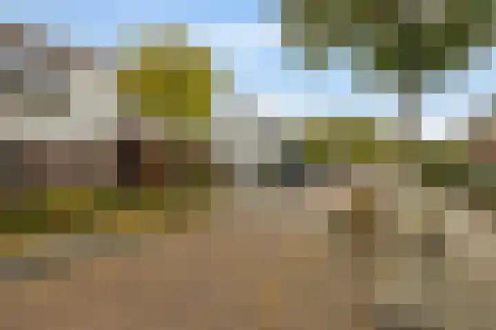 Mercurius 3 Schijndel thumbnail 46