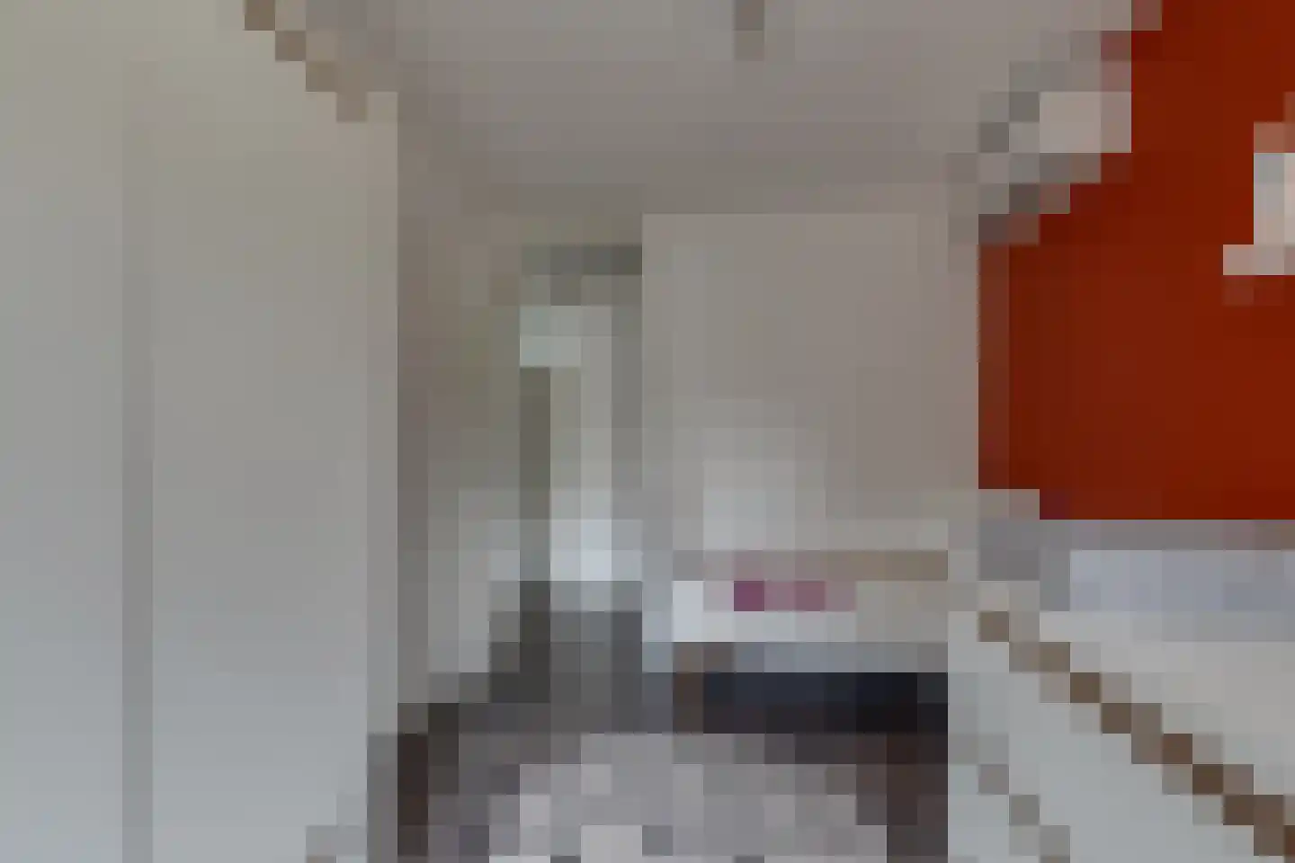 Mercurius 31 Lichtenvoorde thumbnail 37