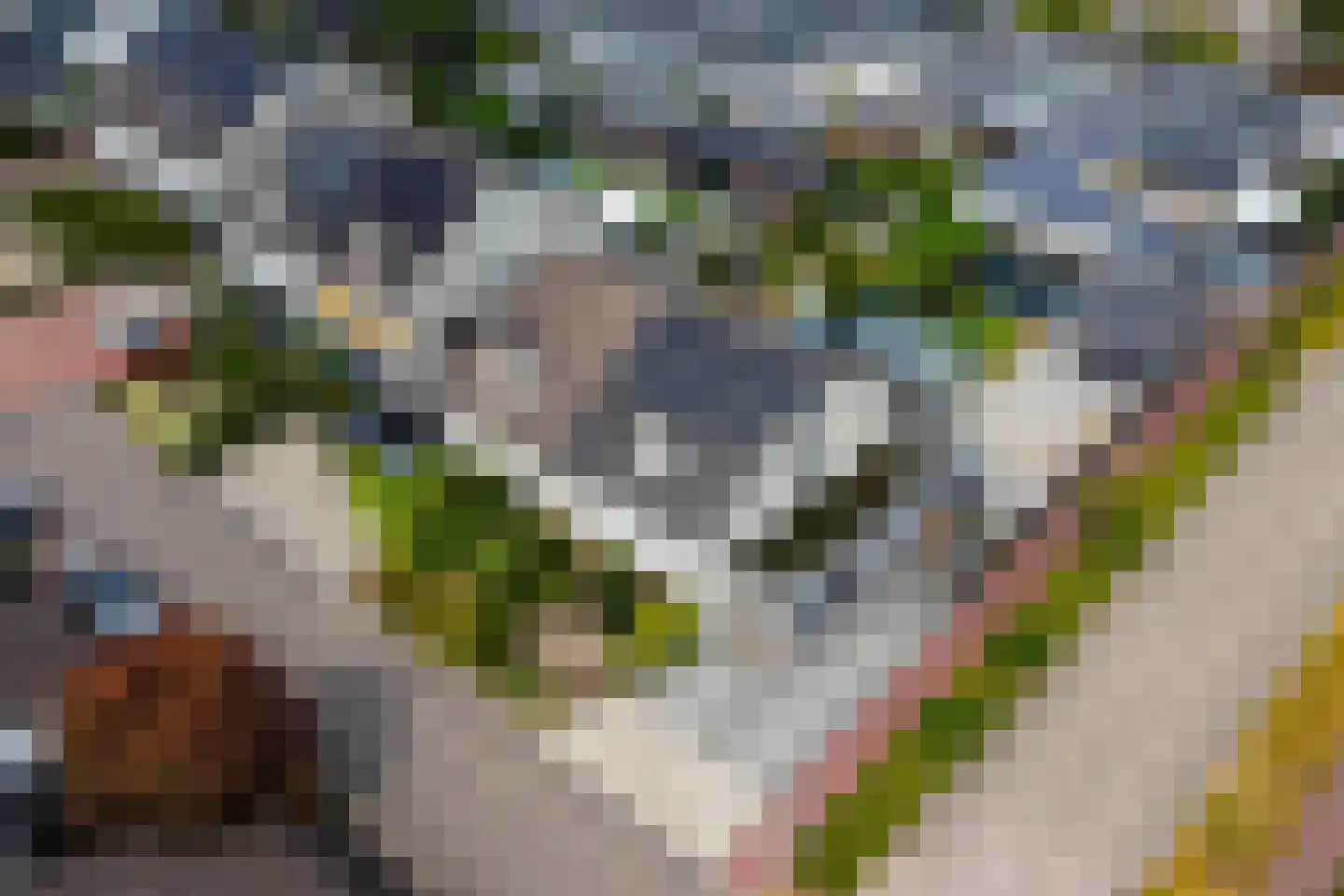 Mercurius 31 Lichtenvoorde thumbnail 45