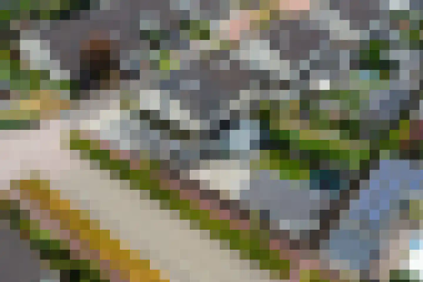 Mercurius 31 Lichtenvoorde thumbnail 5