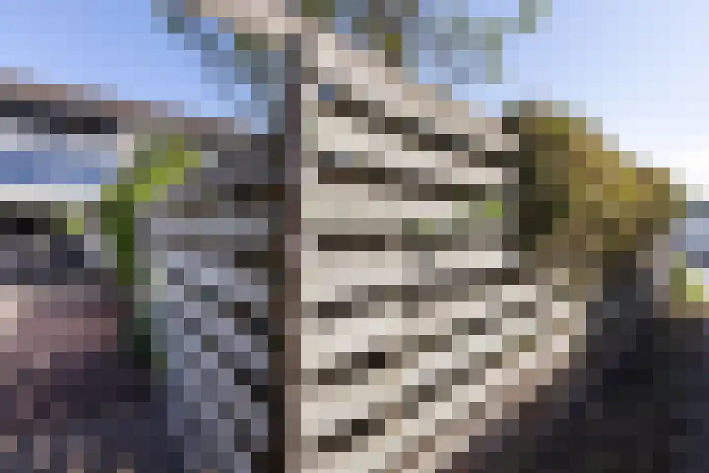 Mercurius 38 Lichtenvoorde thumbnail 31