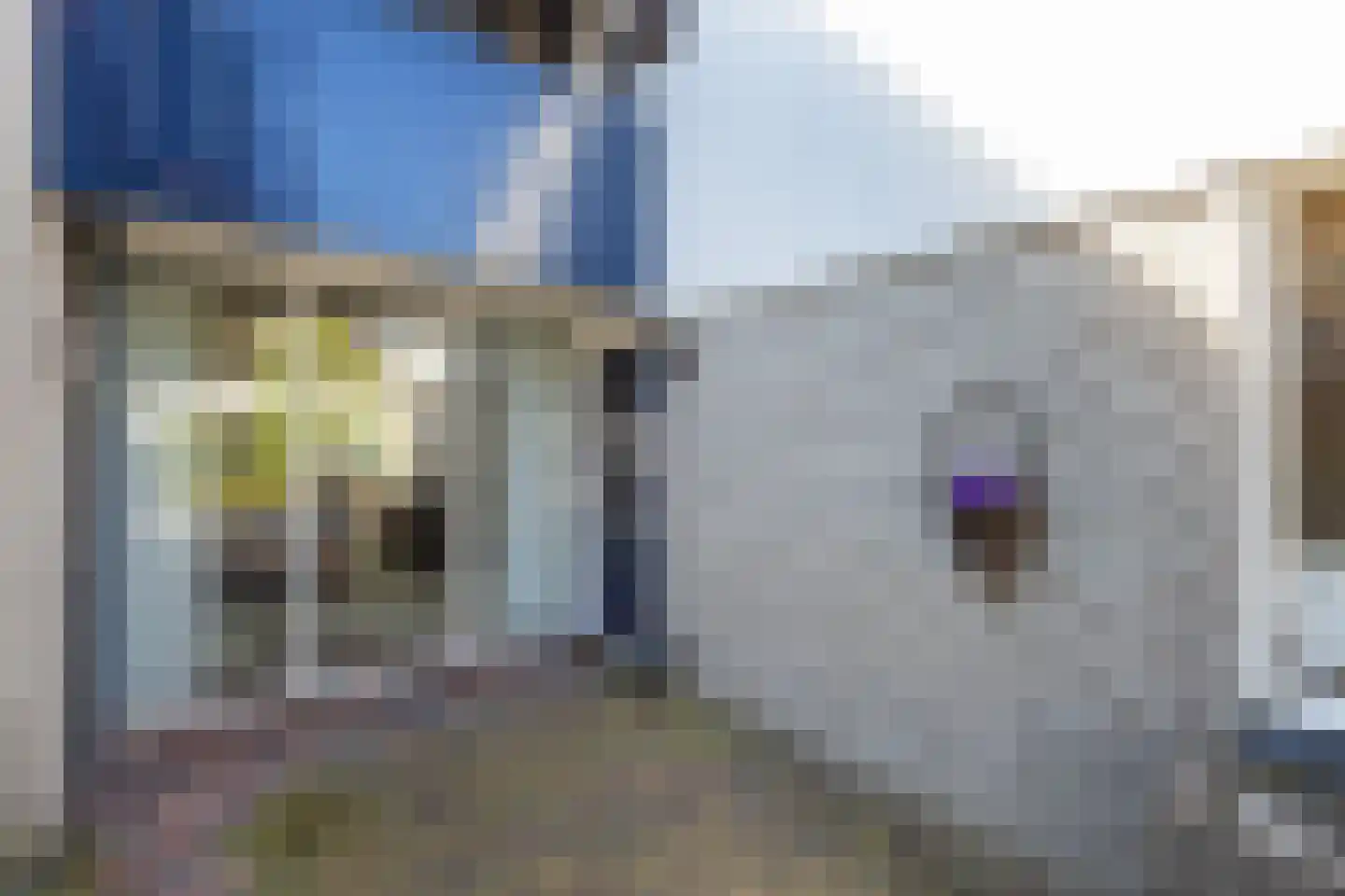 Mercurius 38 Lichtenvoorde thumbnail 34