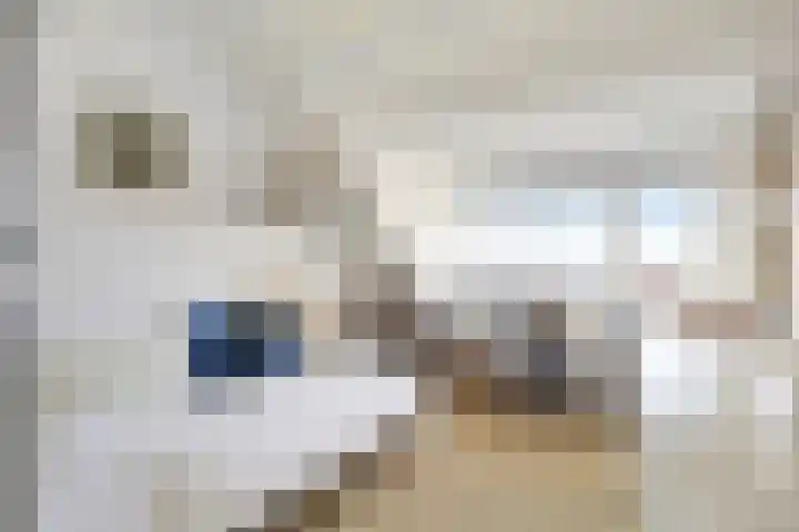 Mercurius 41 Den Helder thumbnail 25