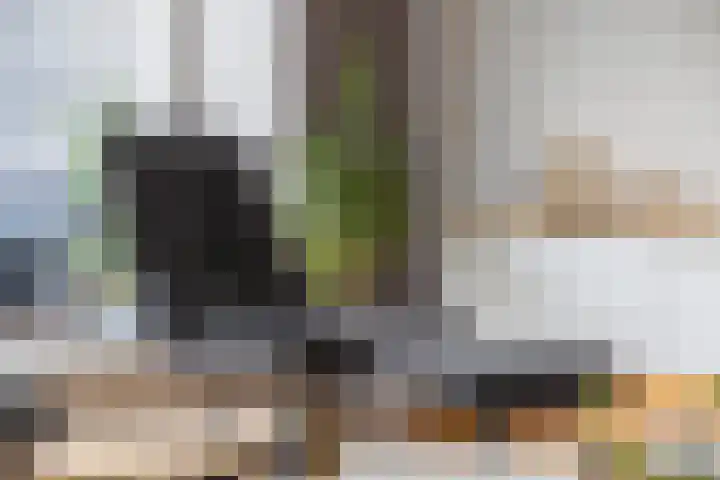 Mercurius 41 Lichtenvoorde thumbnail 8