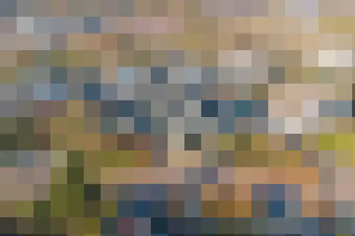 Mercurius 46 Twello thumbnail 36