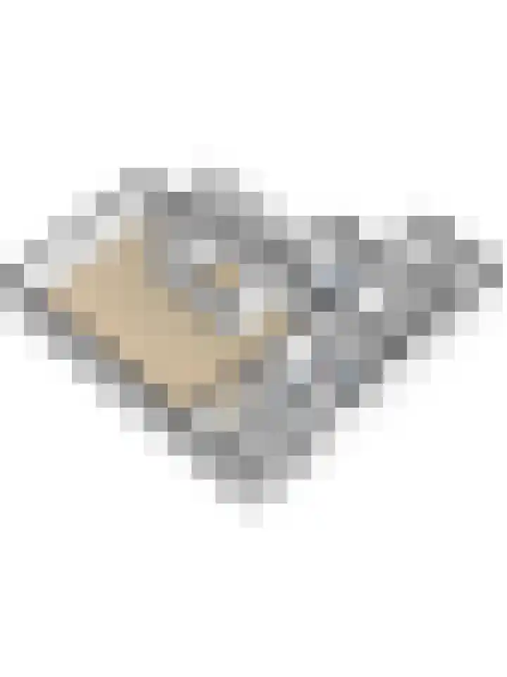 Mercurius 46 Twello thumbnail 41