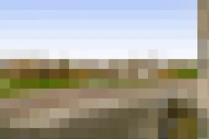Mercurius 55 Den Helder thumbnail 27