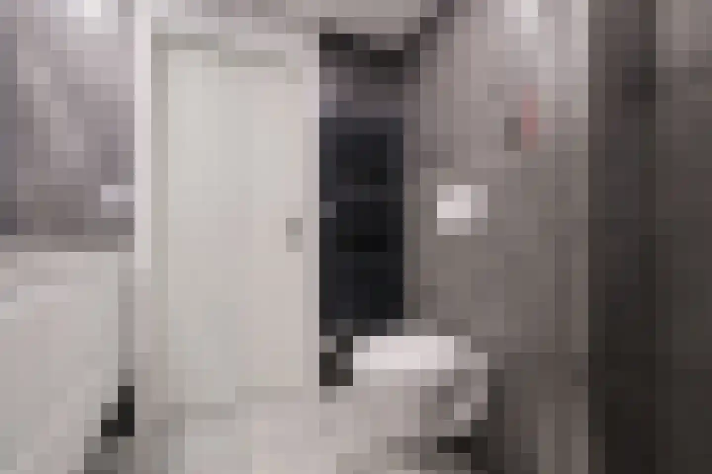 Mercurius 60 Lichtenvoorde thumbnail 38