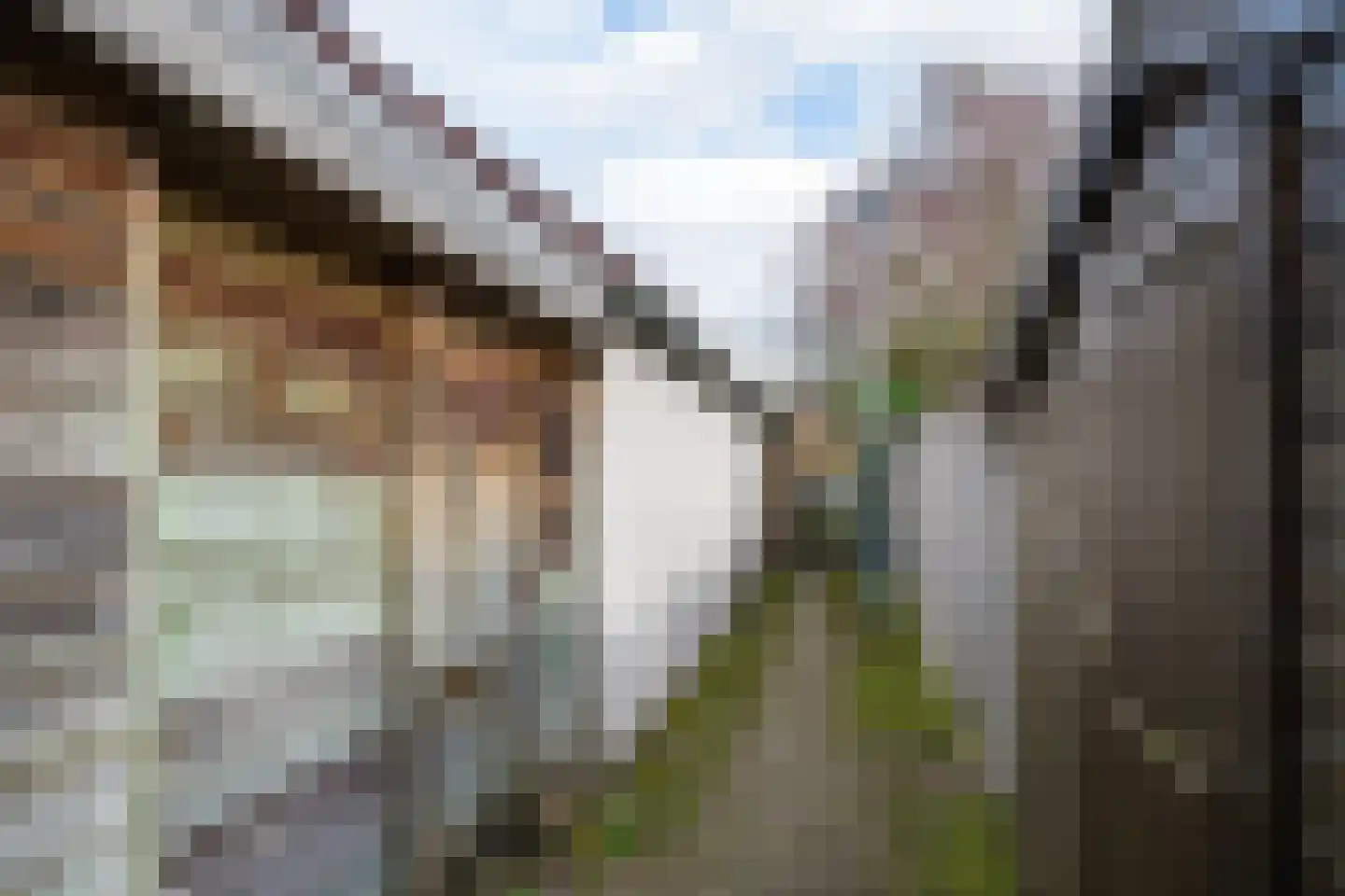 Mercurius 60 Lichtenvoorde thumbnail 52