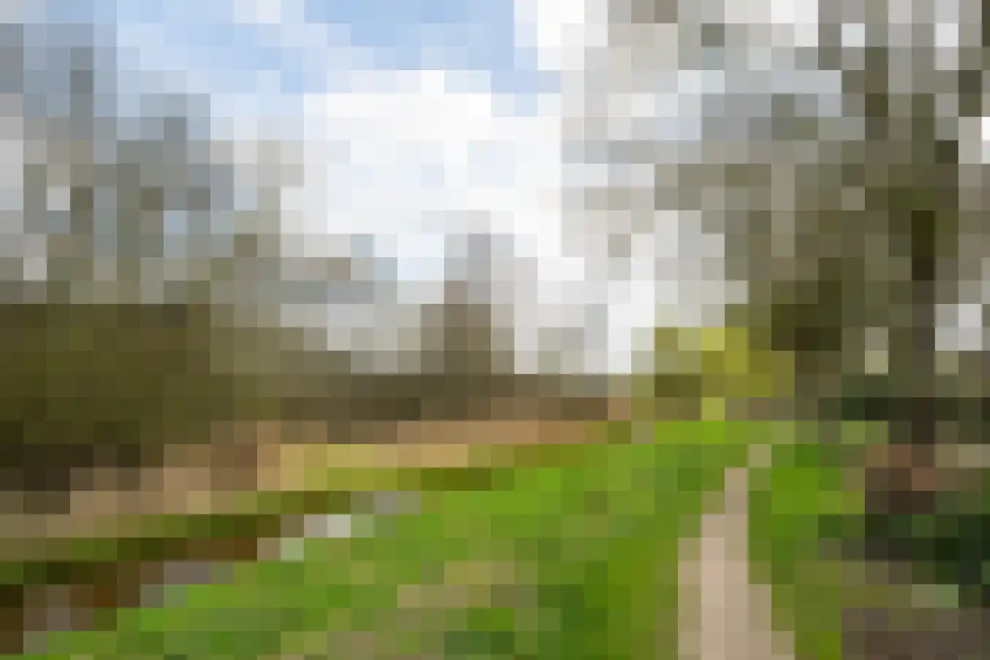 Mercurius 60 Lichtenvoorde thumbnail 56