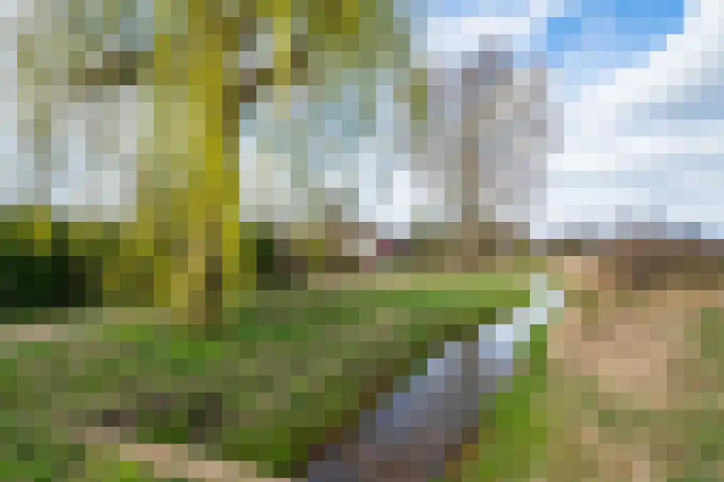 Mercurius 60 Lichtenvoorde thumbnail 57