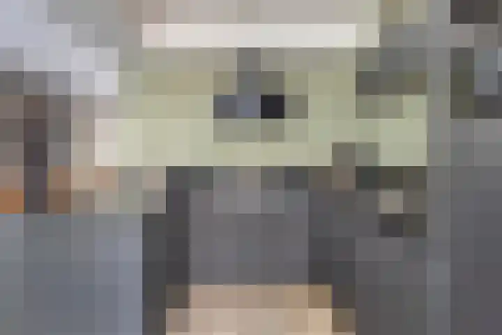 Mercurius 7 Hapert thumbnail 13