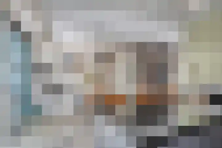 Mercurius 7 Hapert thumbnail 14