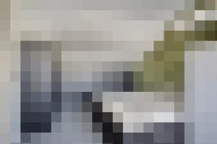Mercurius 7 Hapert thumbnail 30