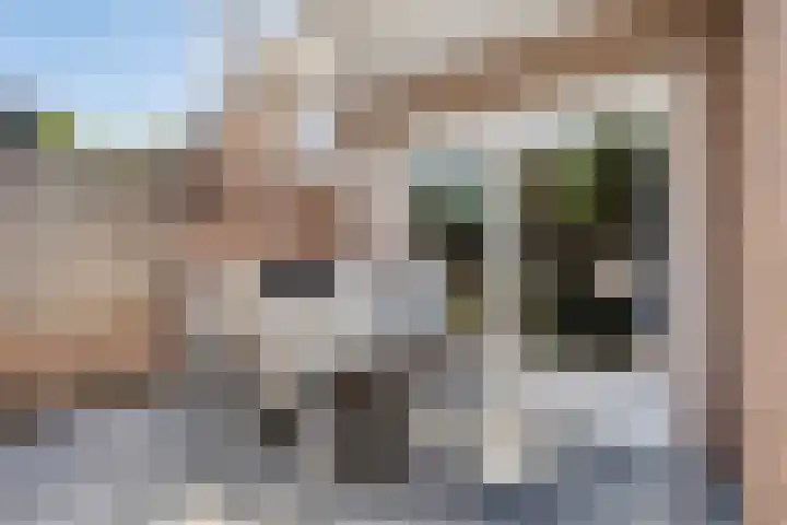 Mercurius 7 Hapert thumbnail 35
