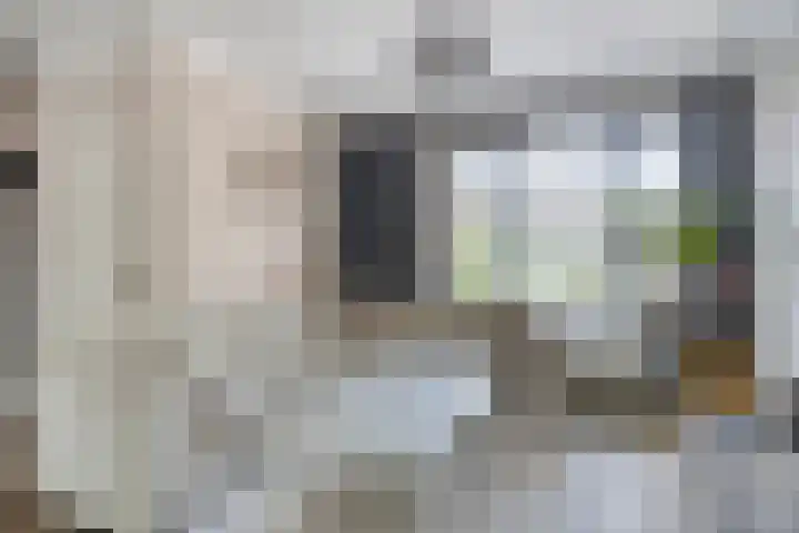Mercurius 7 Hapert thumbnail 5