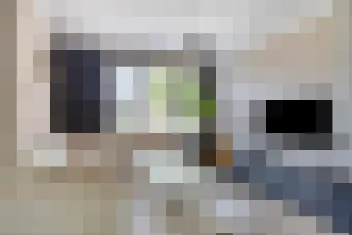 Mercurius 7 Hapert thumbnail 6