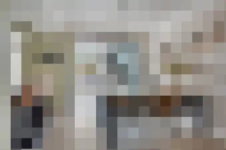 Mercurius 7 Hapert thumbnail 9