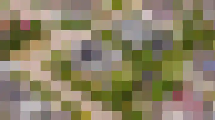 Mercuriusbaan 2 Franeker thumbnail 35