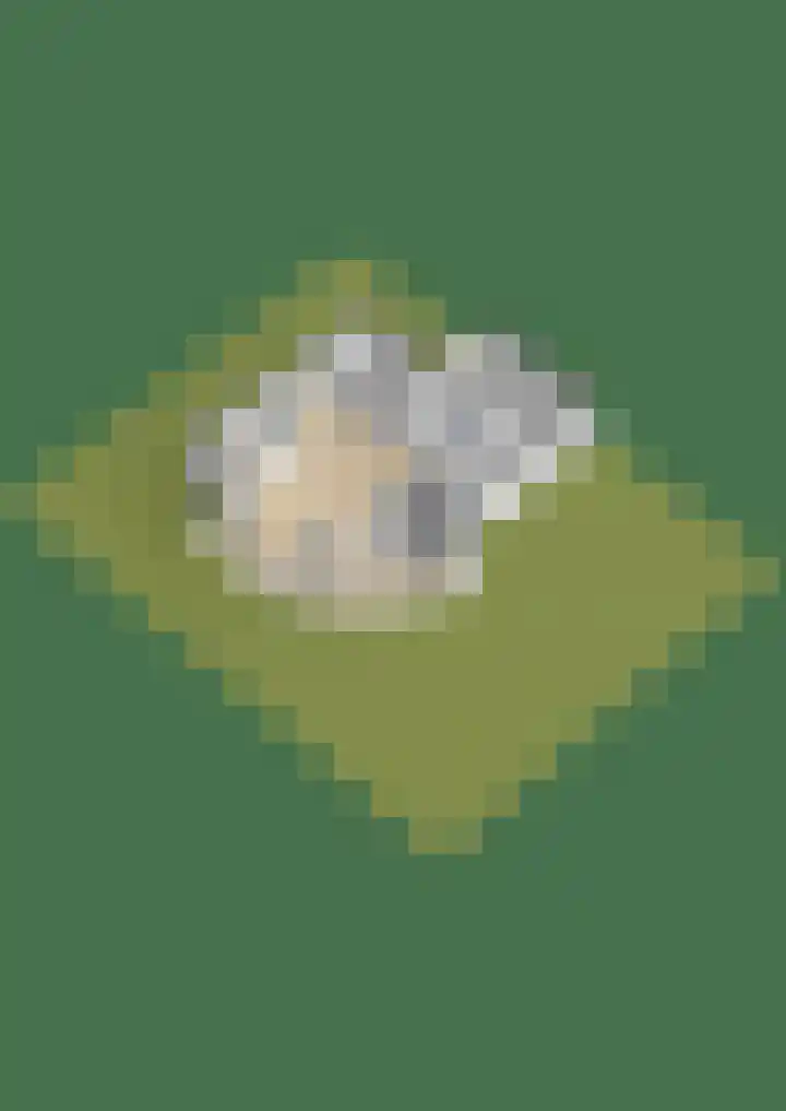 Mercuriusbaan 2 Franeker thumbnail 45